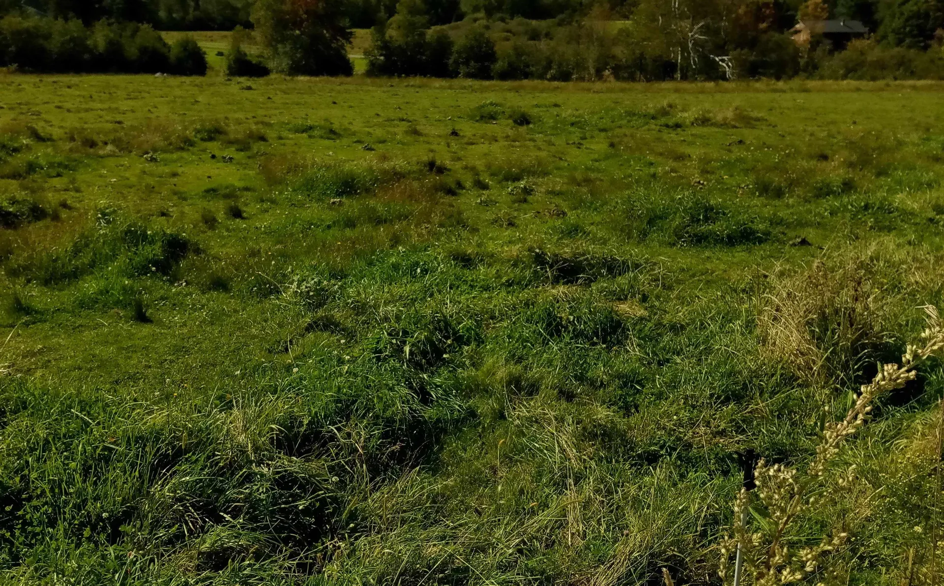 Lot 5b Vt. Route 12 Elmore VT 05657