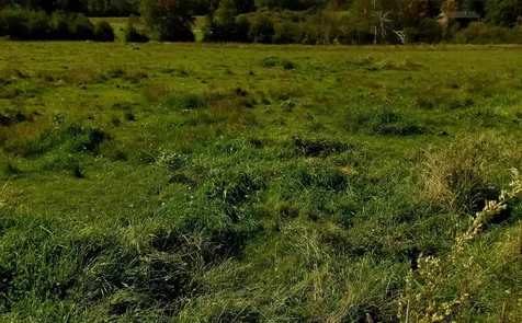 Lot 5b Vt. Route 12 Elmore VT 05657