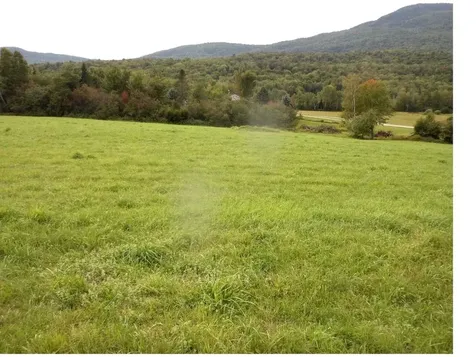 Lot 5b Vt. Route 12 Elmore VT 05657