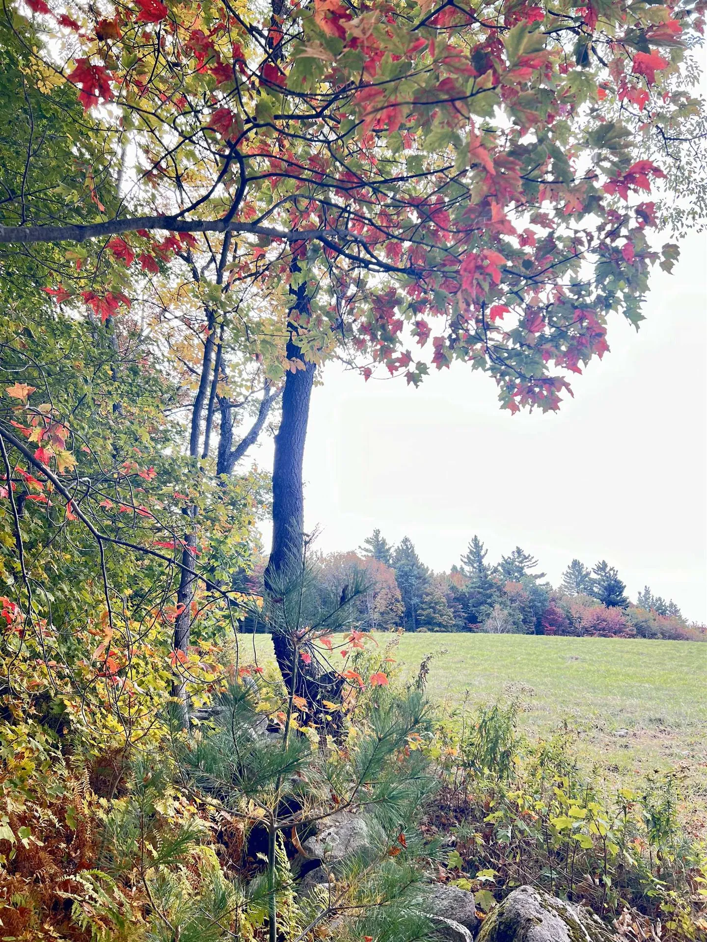 000 Route 11 Peru VT 05152