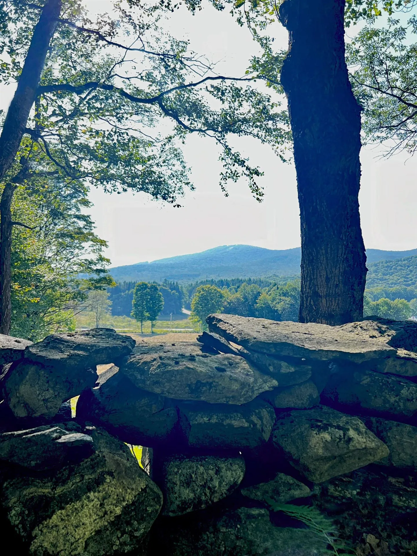 000 Route 11 Peru VT 05152