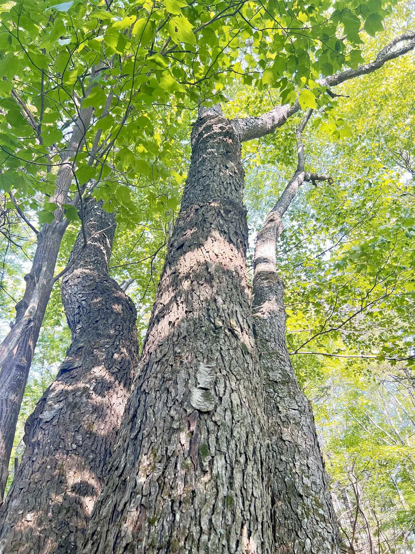 000 Route 11 Peru VT 05152