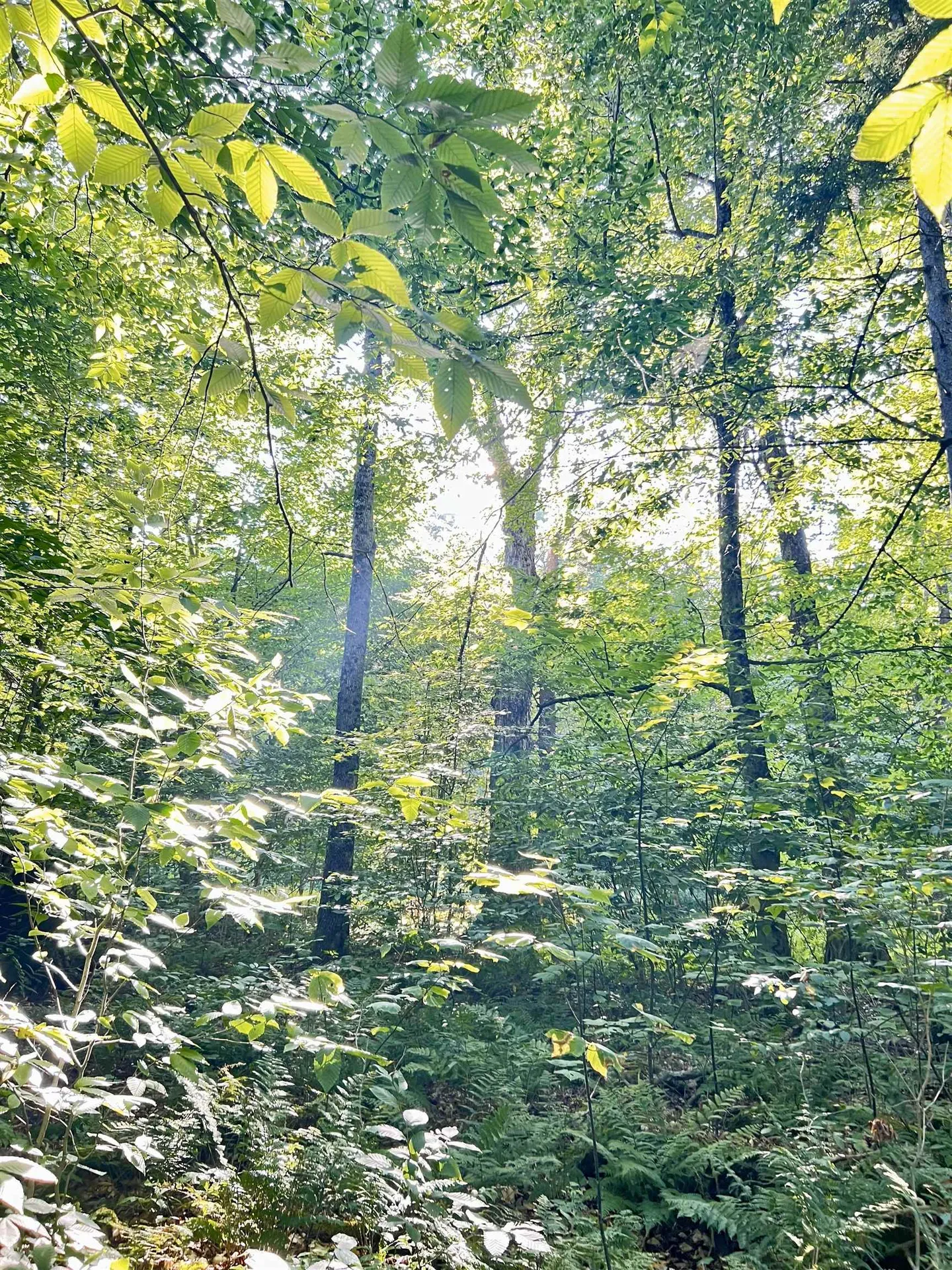 000 Route 11 Peru VT 05152