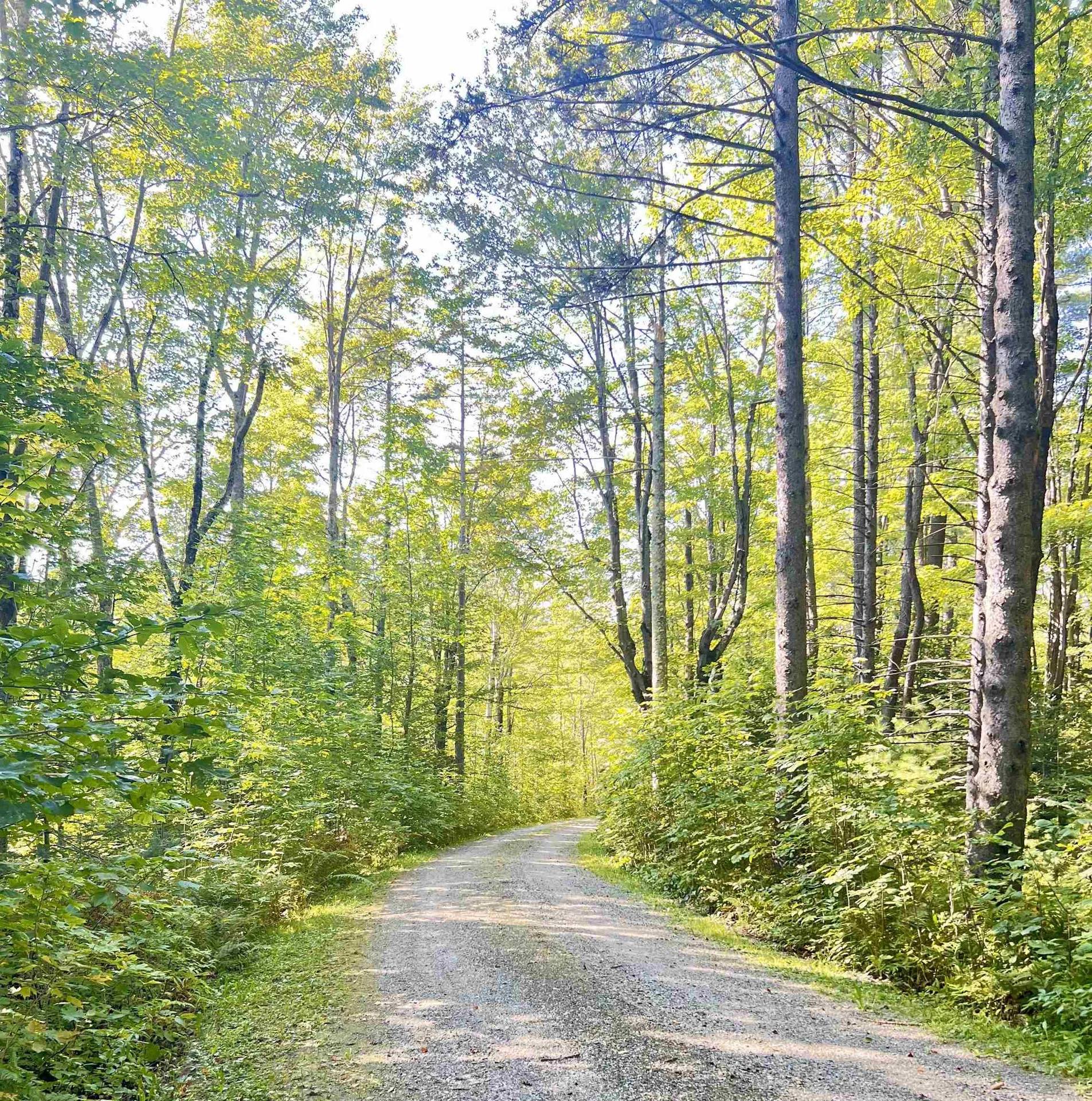 000 Route 11 Peru VT 05152