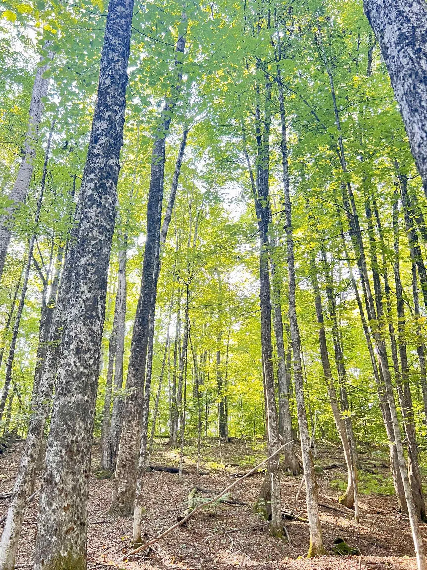 000 Route 11 Peru VT 05152