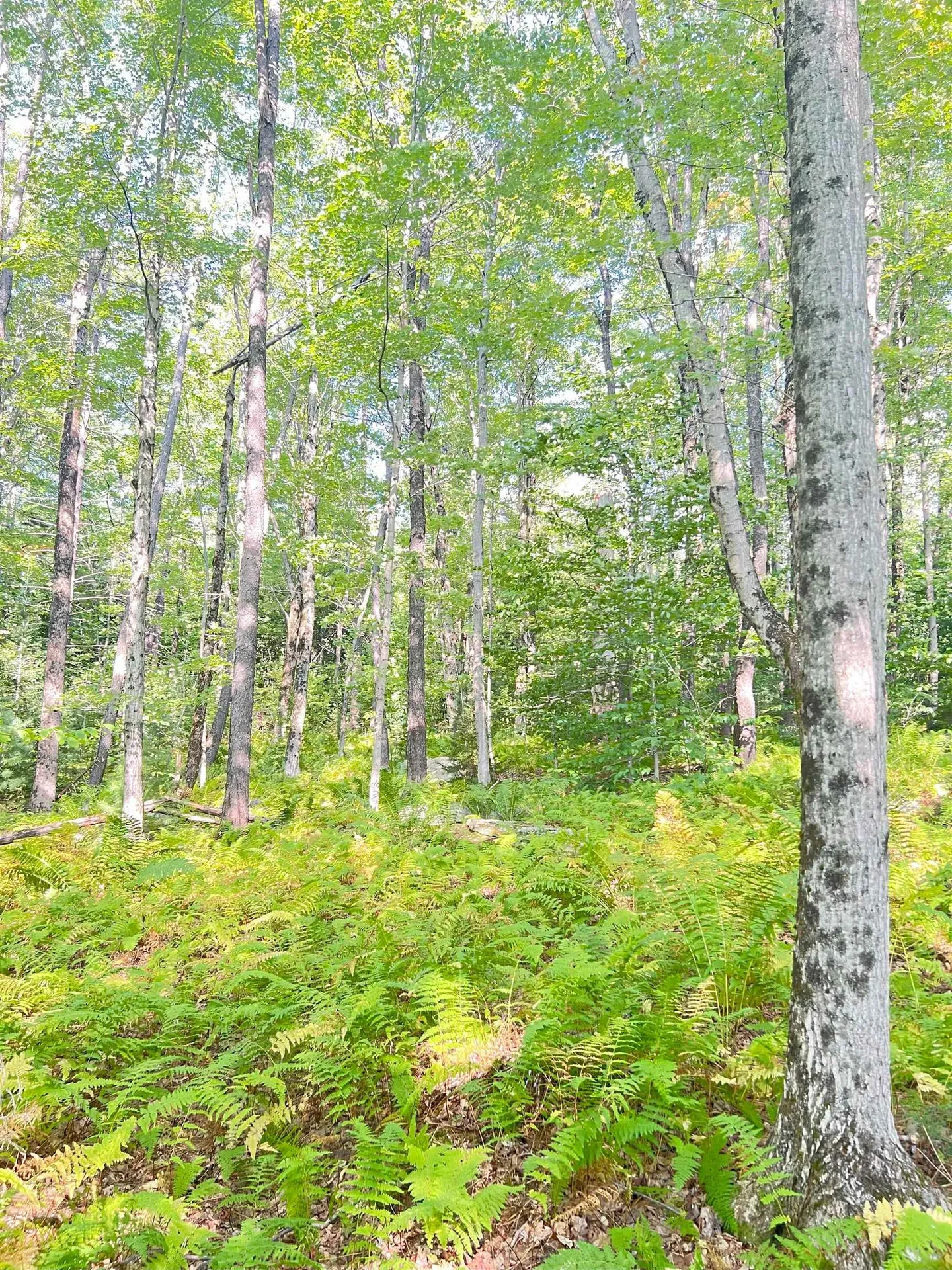 000 Route 11 Peru VT 05152