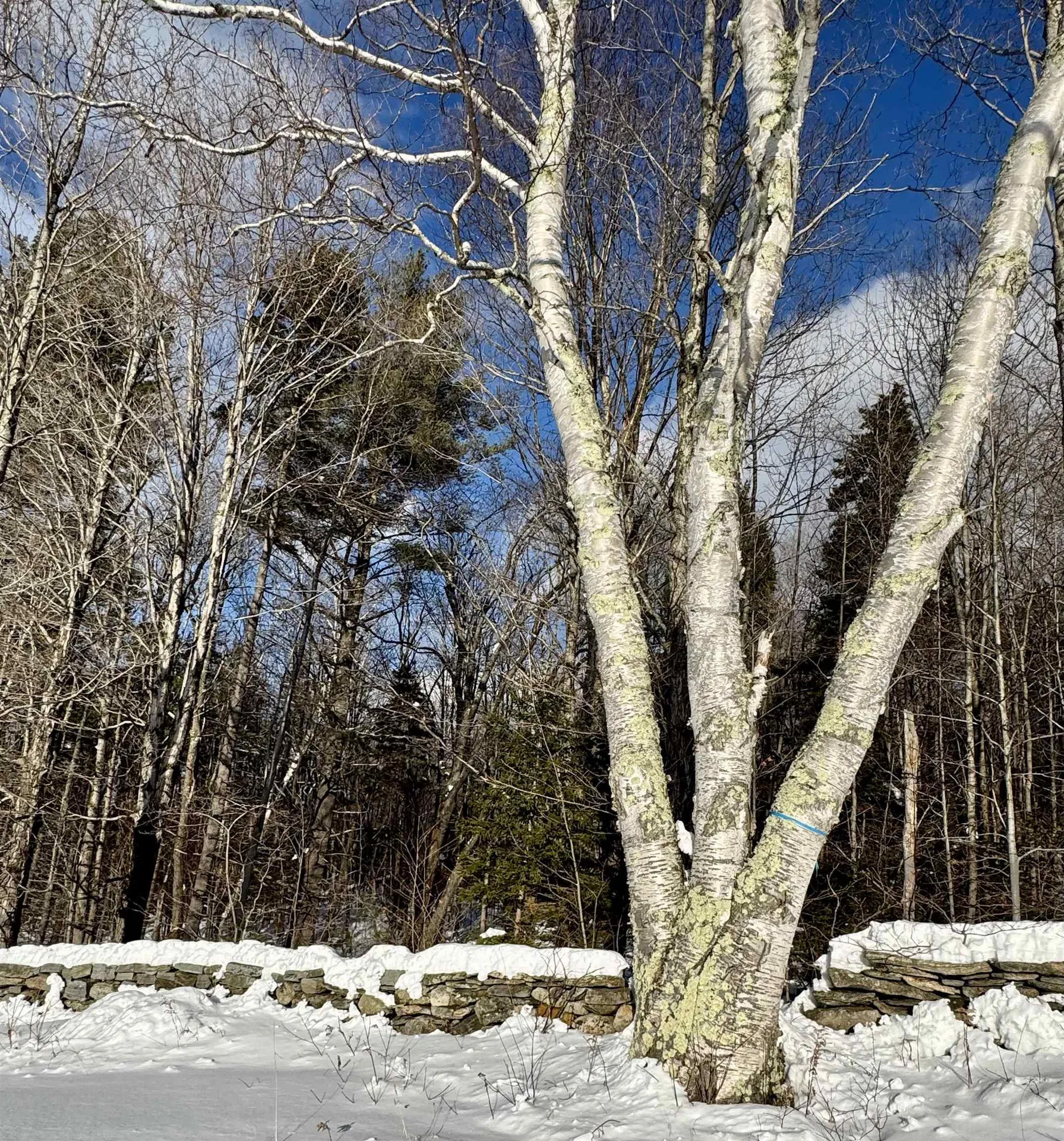 000 Route 11 Peru VT 05152