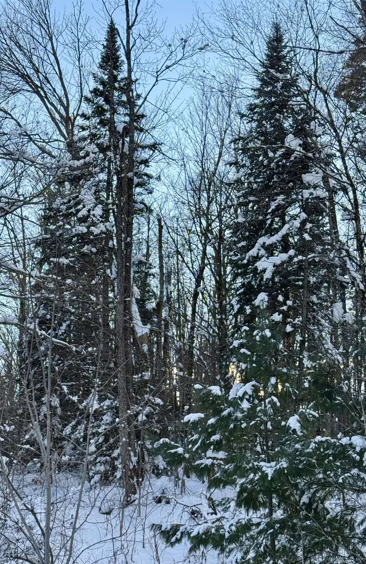 000 Route 11 Peru VT 05152