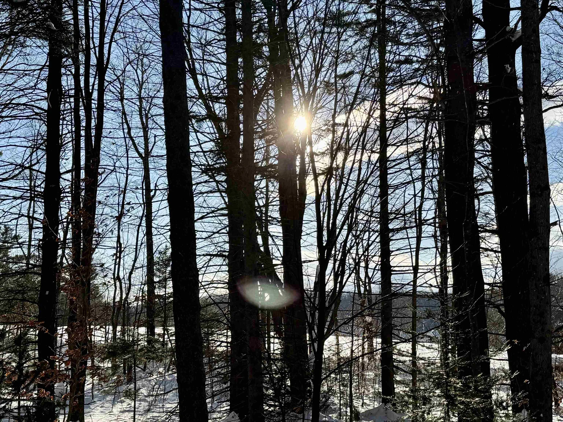 000 Route 11 Peru VT 05152