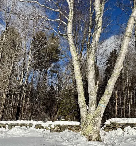 000 Route 11 Peru VT 05152