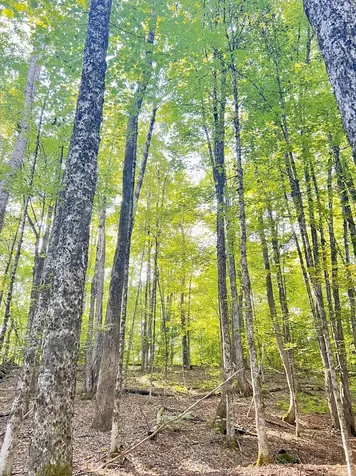 000 Route 11 Peru VT 05152