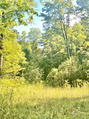 000 Route 11 Peru VT 05152