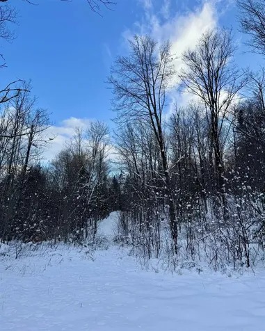 000 Route 11 Peru VT 05152