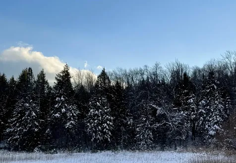 000 Route 11 Peru VT 05152