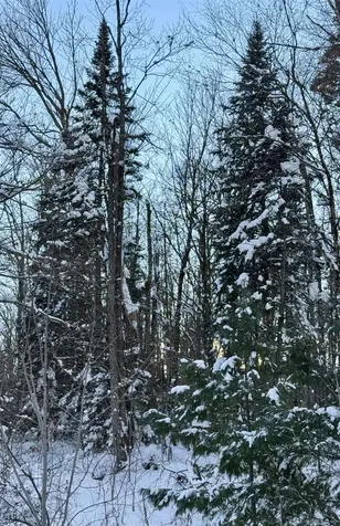 000 Route 11 Peru VT 05152