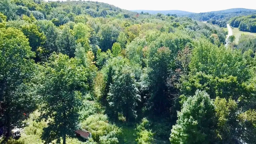 1518 Sheldon Woods Road Fairfield VT 05455