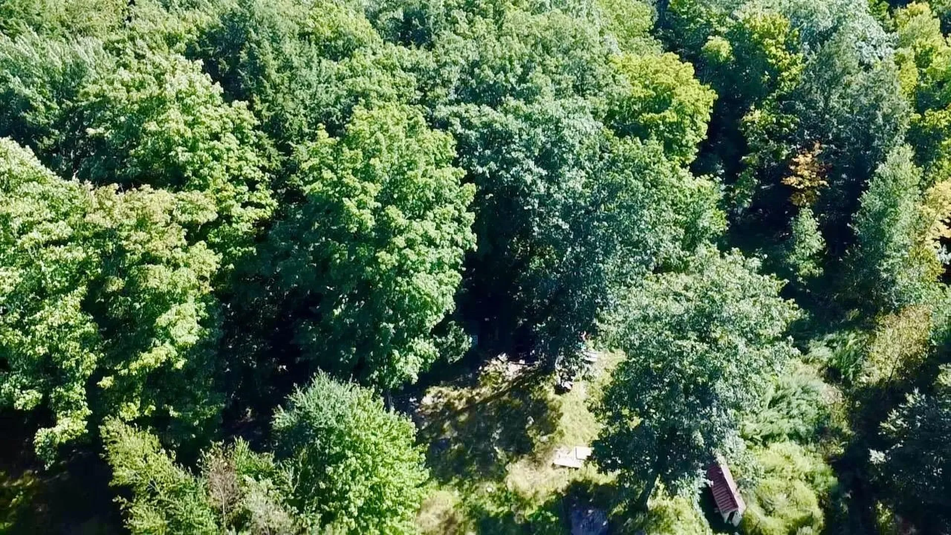 1518 Sheldon Woods Road Fairfield VT 05455