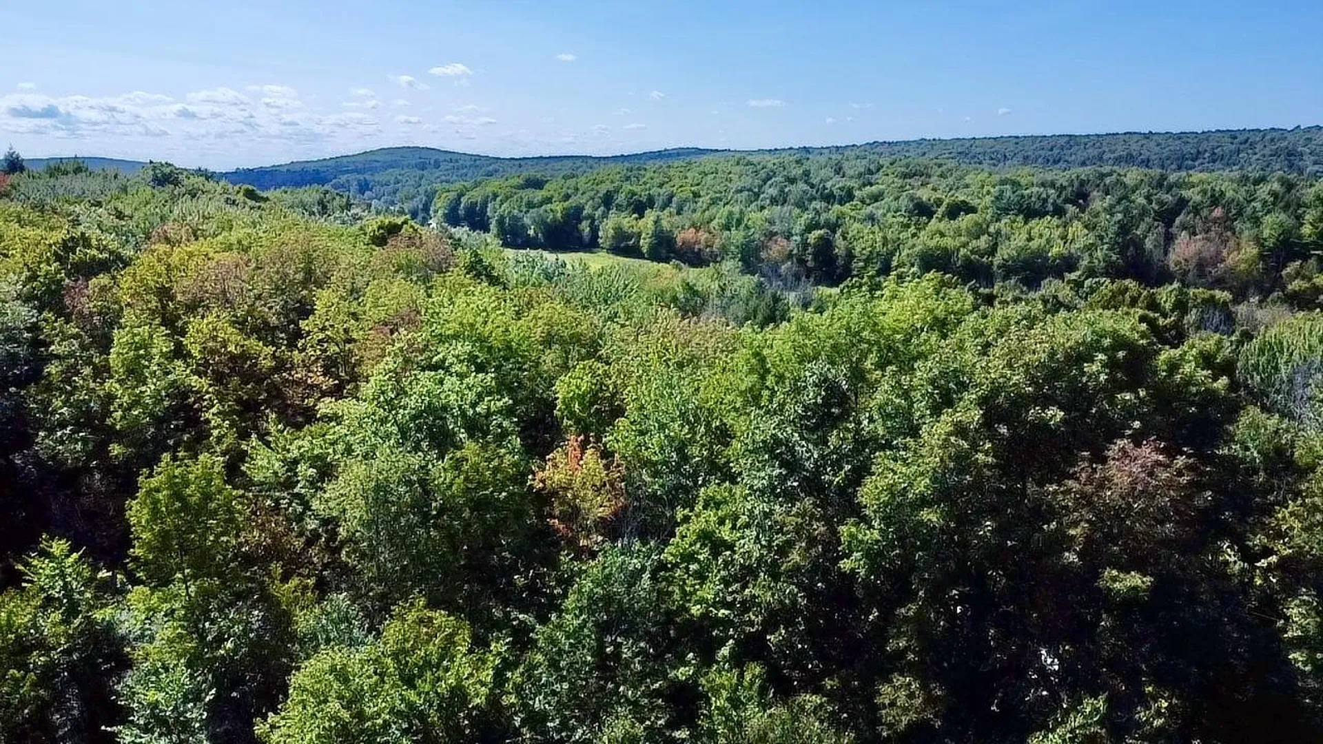 1518 Sheldon Woods Road Fairfield VT 05455