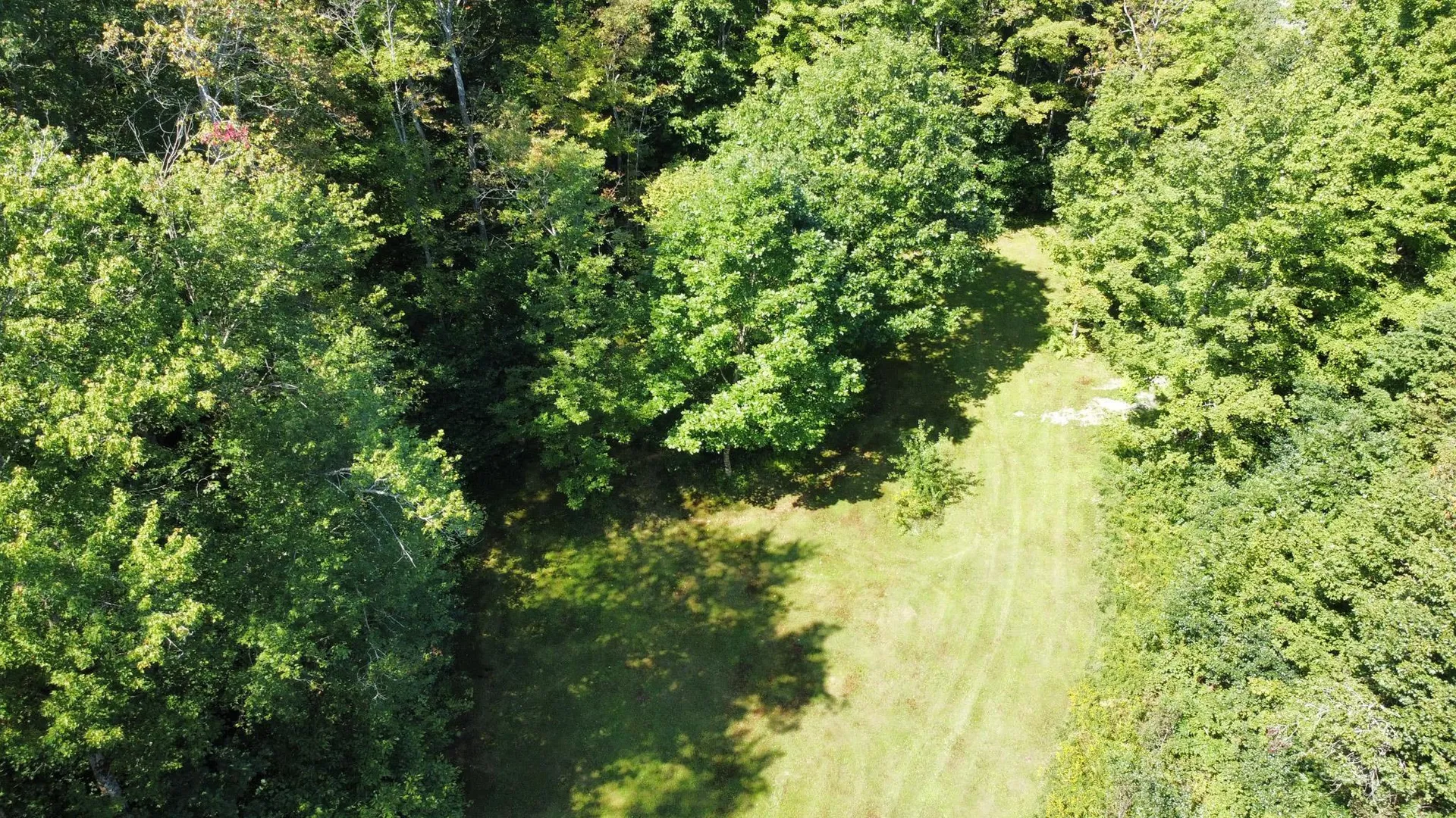 1278 Forest Road Alstead NH 03602
