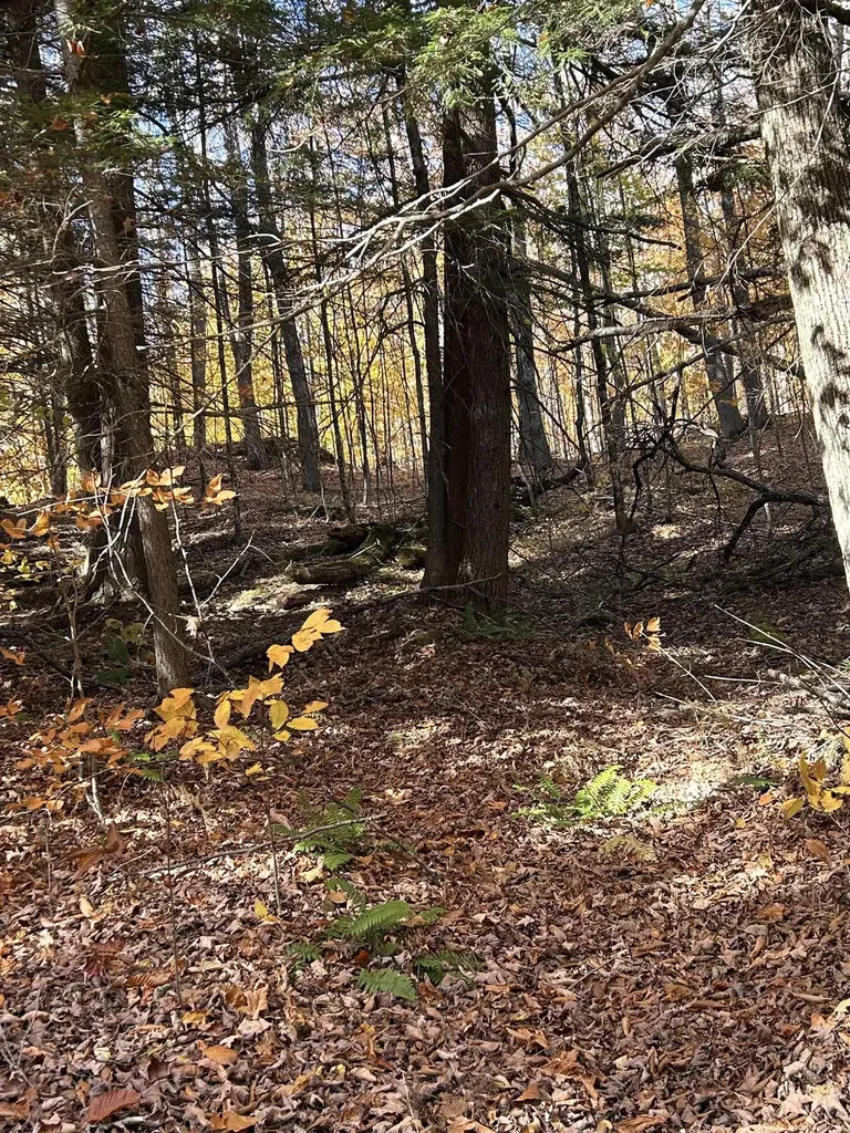 1843 Downer Road Sharon VT 05065