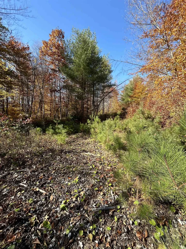 1843 Downer Road Sharon VT 05065