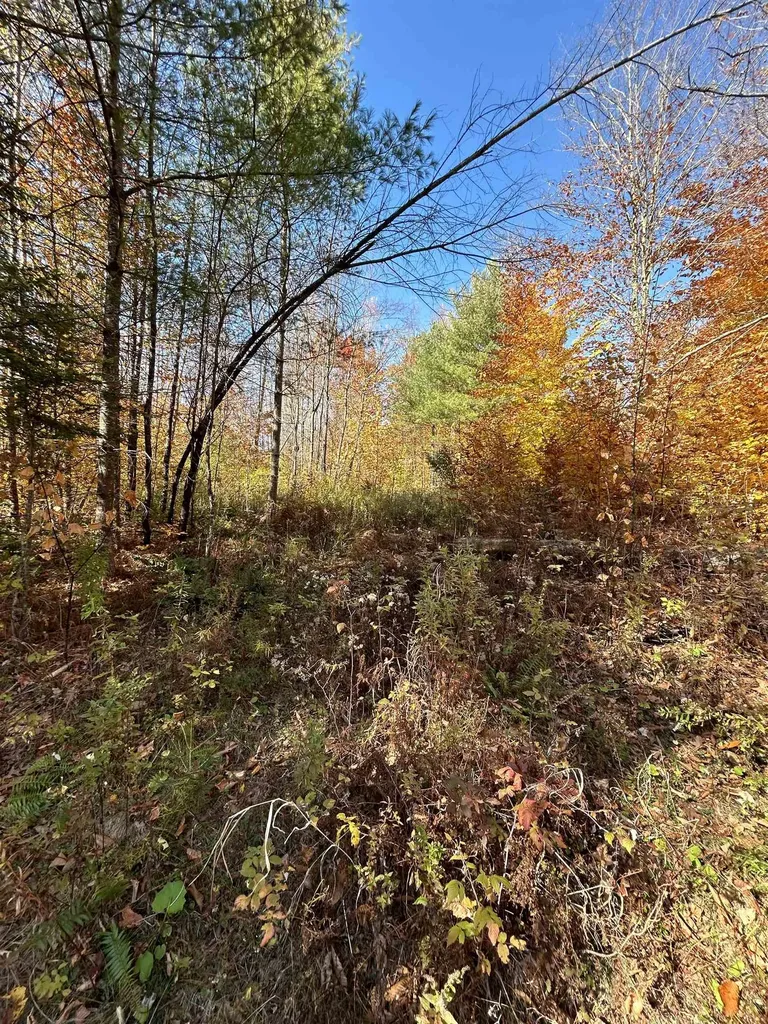 1843 Downer Road Sharon VT 05065