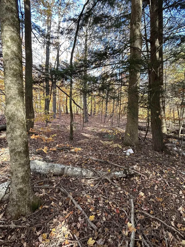 1843 Downer Road Sharon VT 05065