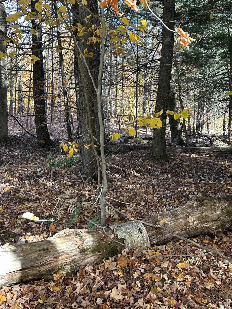 1843 Downer Road Sharon VT 05065