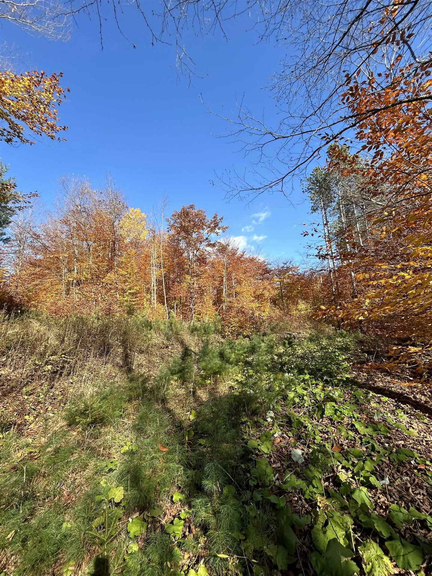 1843 Downer Road Sharon VT 05065