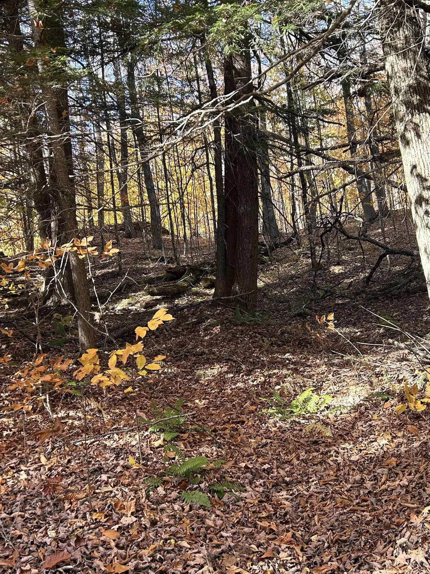 1843 Downer Road Sharon VT 05065