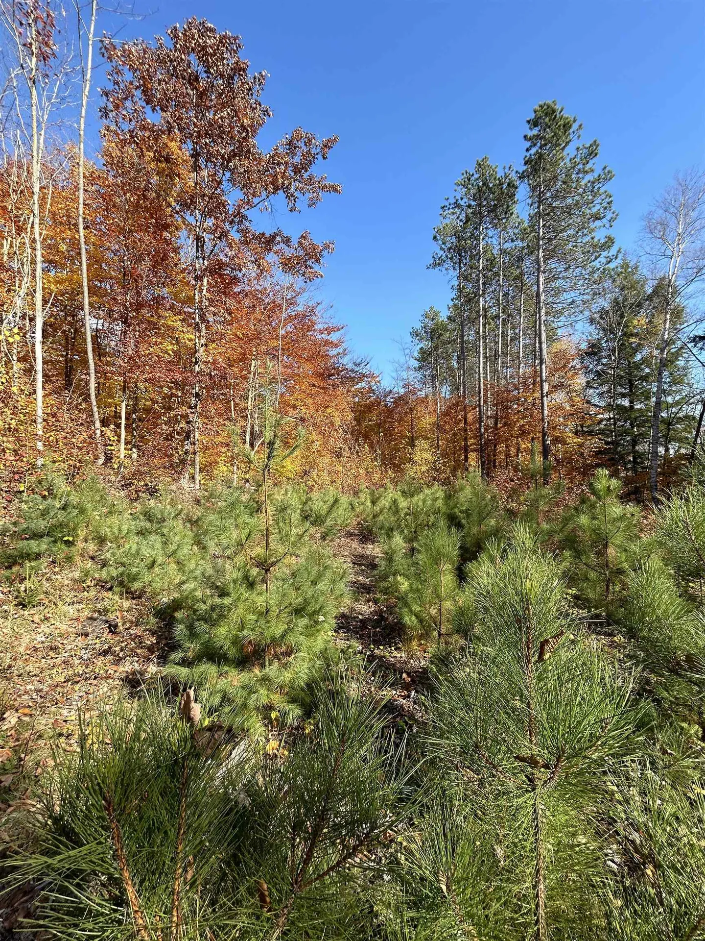 1843 Downer Road Sharon VT 05065