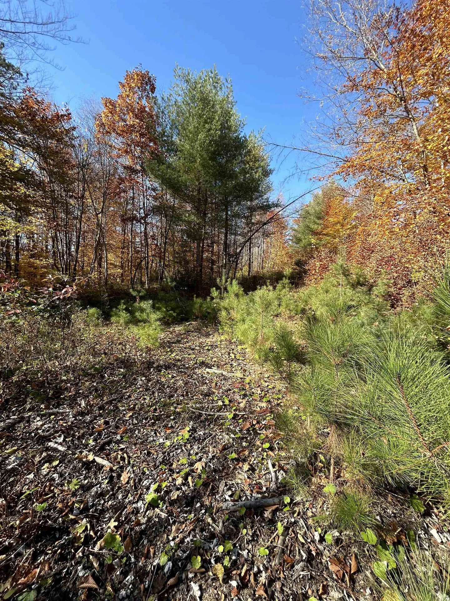 1843 Downer Road Sharon VT 05065