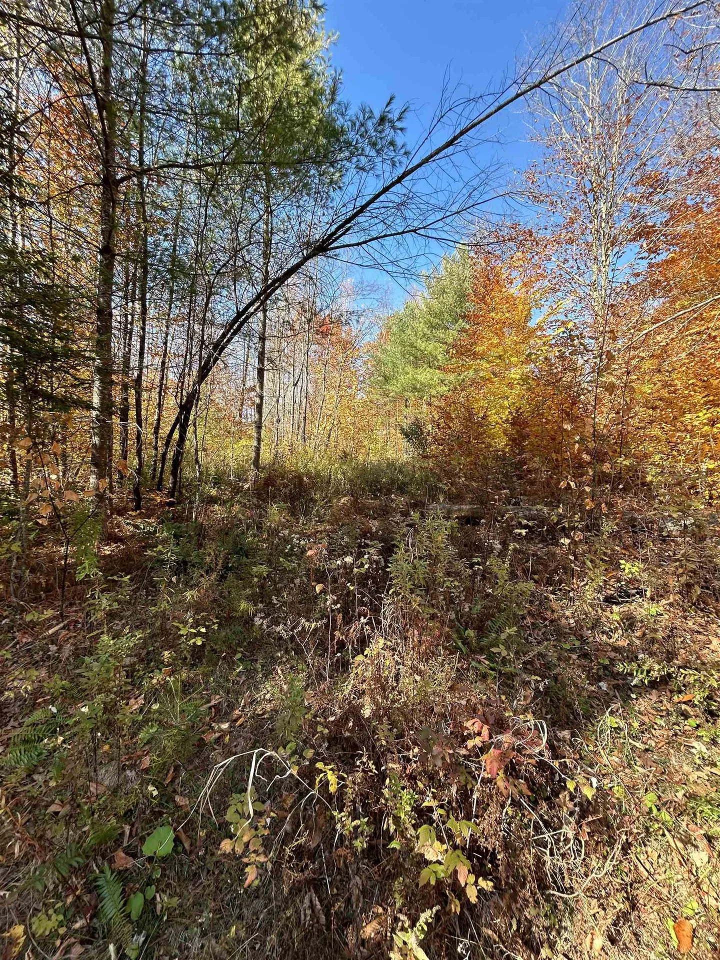 1843 Downer Road Sharon VT 05065