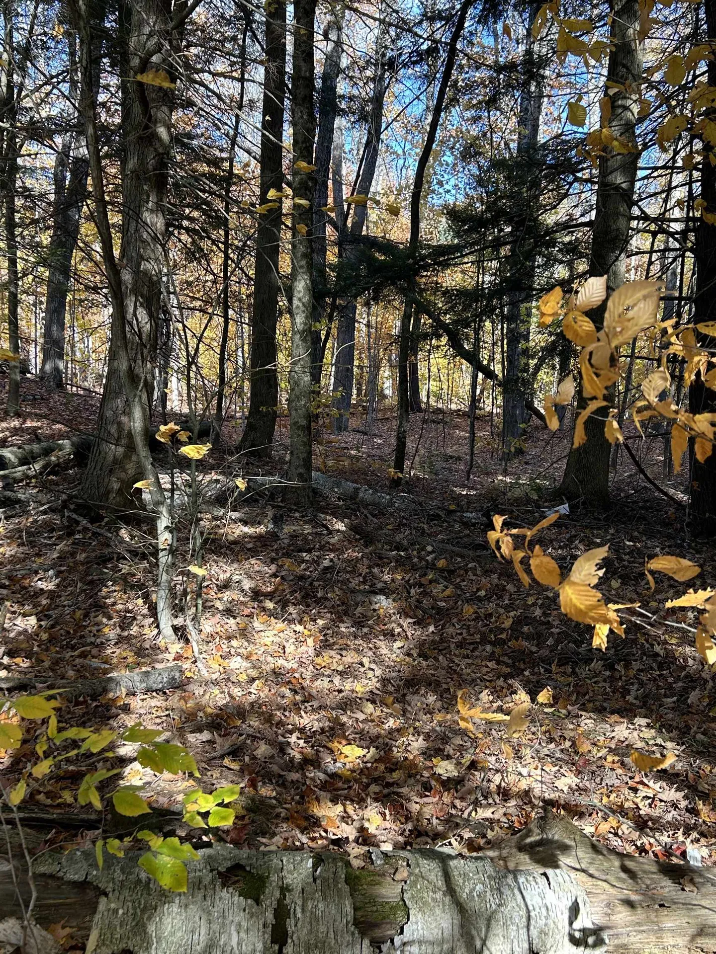 1843 Downer Road Sharon VT 05065