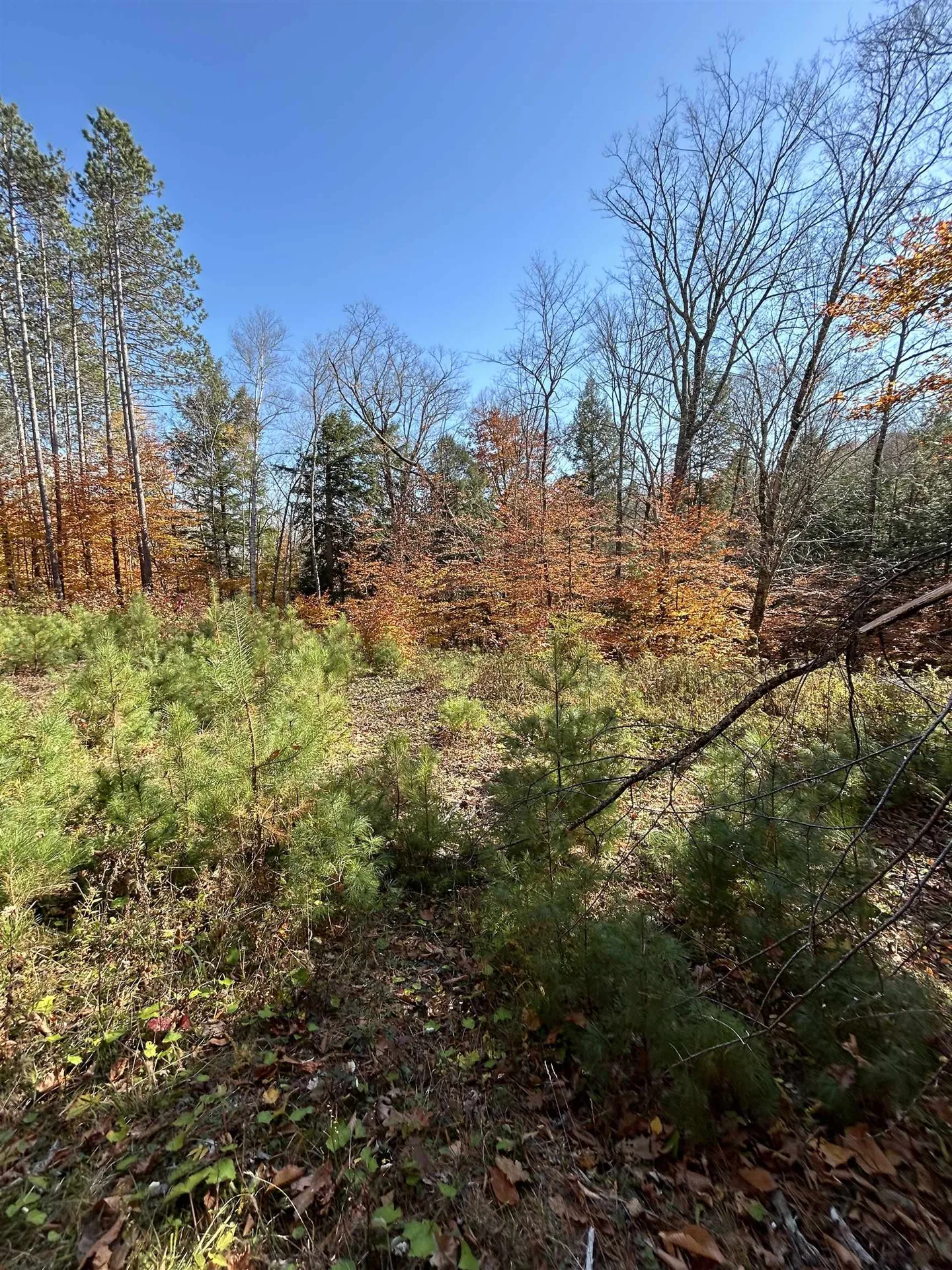 1843 Downer Road Sharon VT 05065