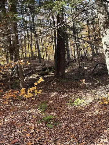 1843 Downer Road Sharon VT 05065