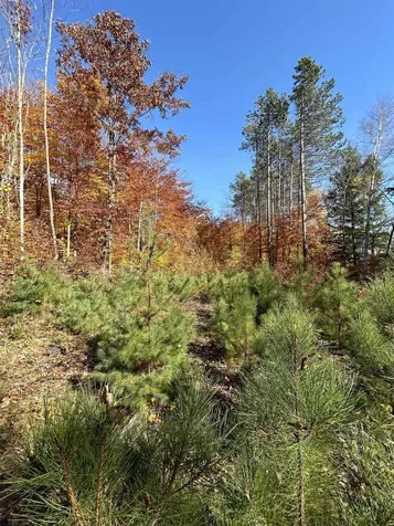 1843 Downer Road Sharon VT 05065