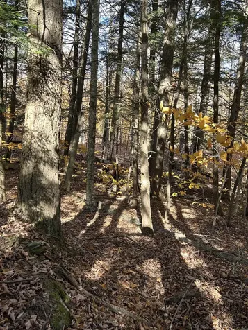 1843 Downer Road Sharon VT 05065