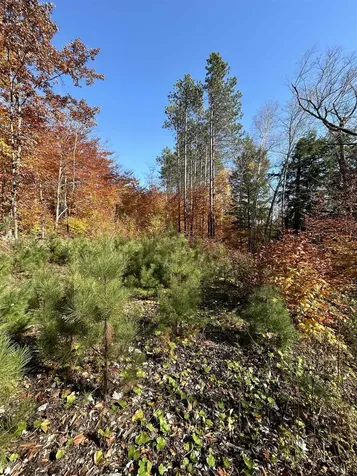 1843 Downer Road Sharon VT 05065