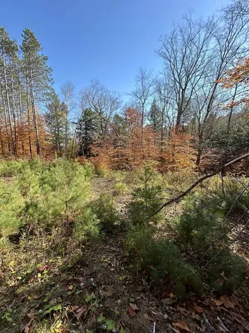 1843 Downer Road Sharon VT 05065