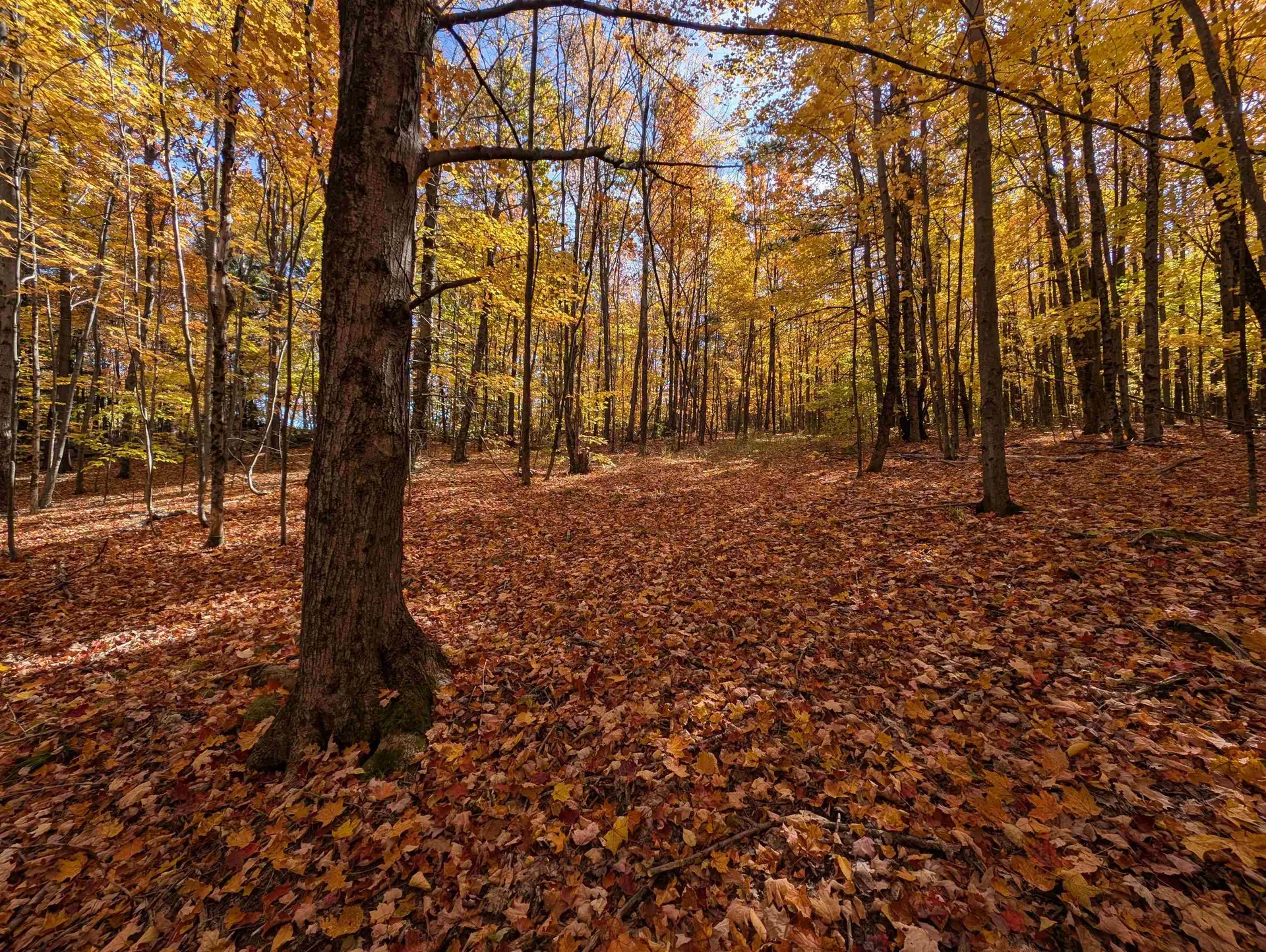 Lot 7-13 Mountain Road Francestown NH 03043