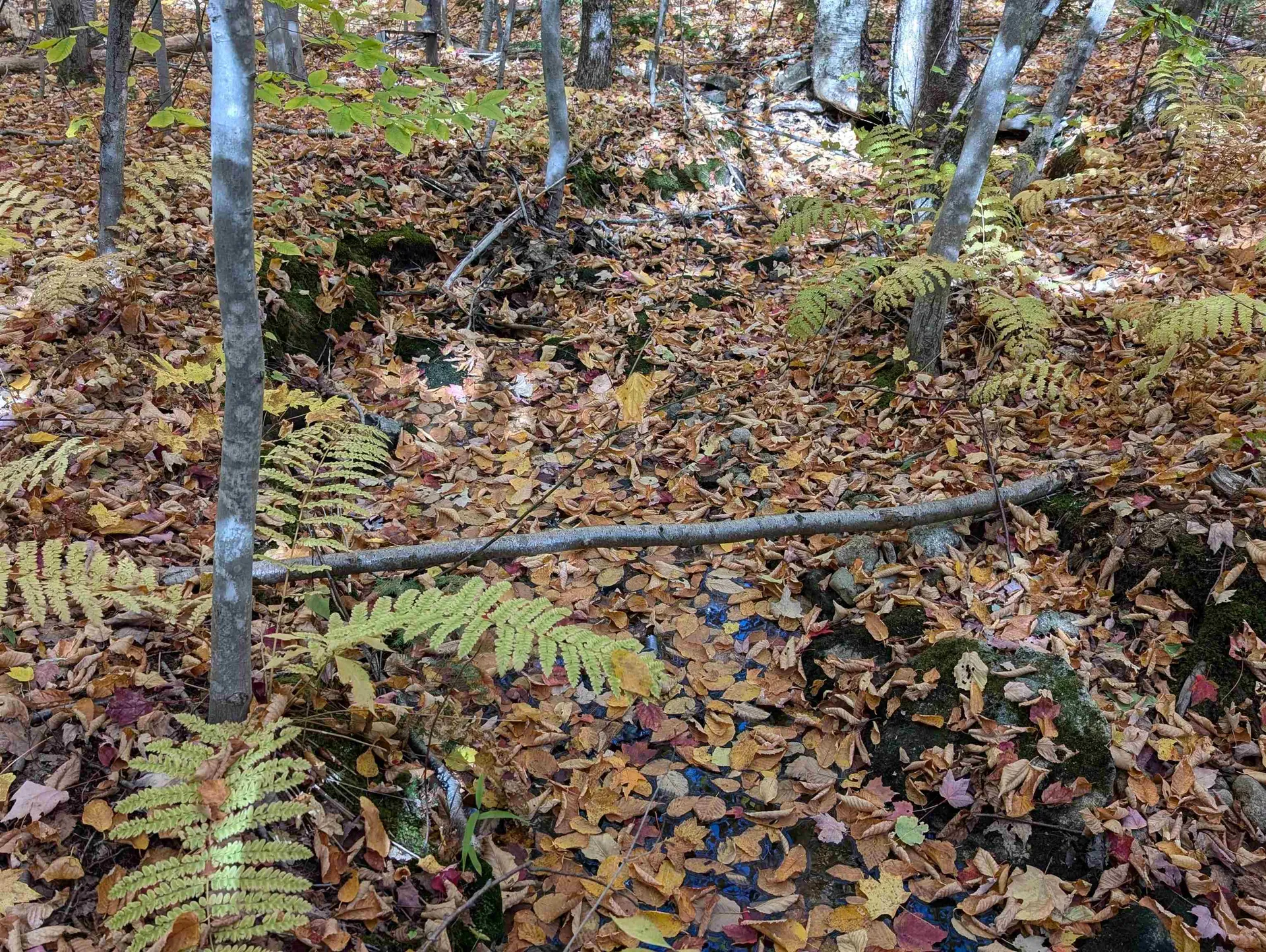 Lot 7-13 Mountain Road Francestown NH 03043