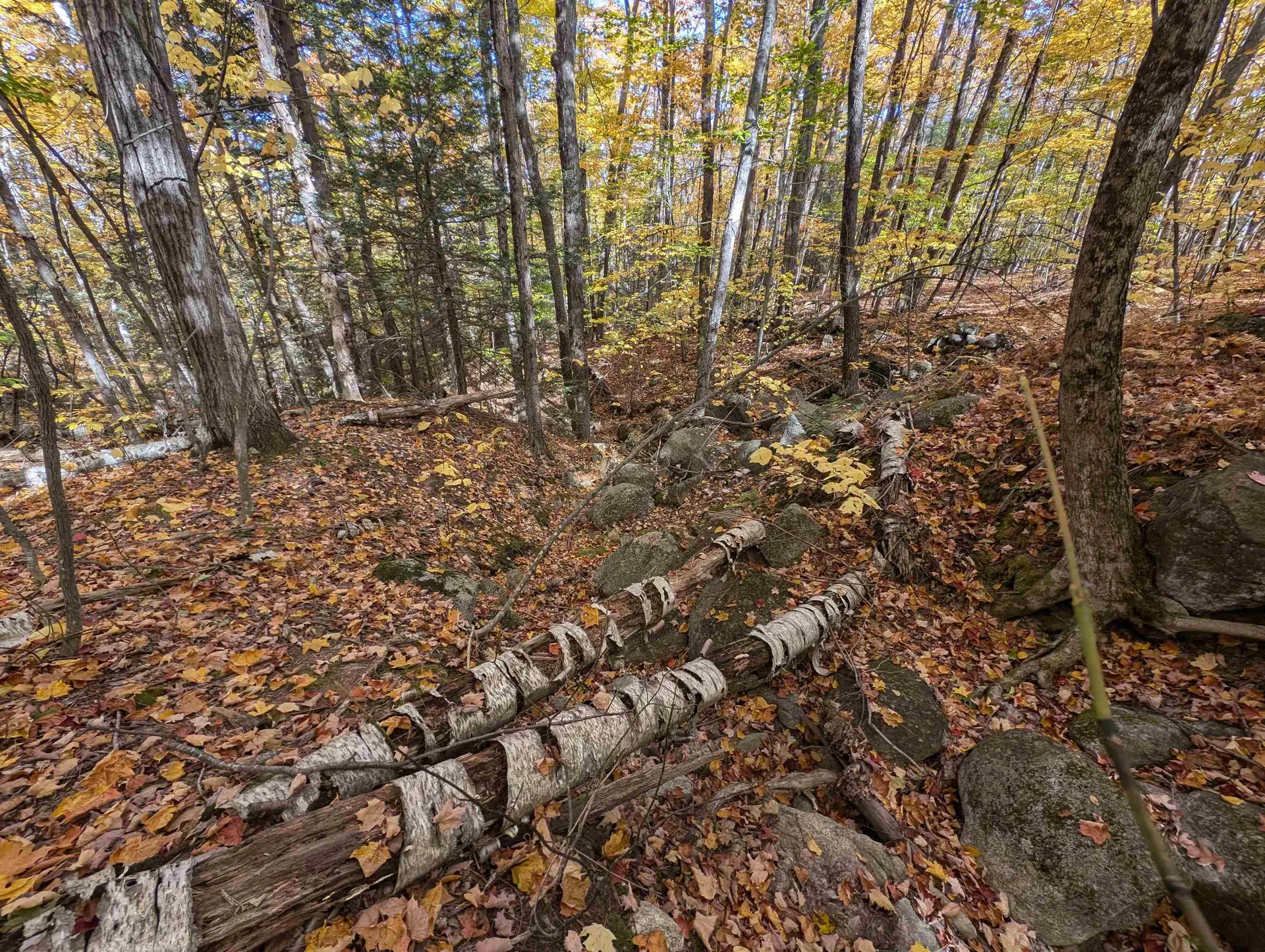 Lot 7-13 Mountain Road Francestown NH 03043