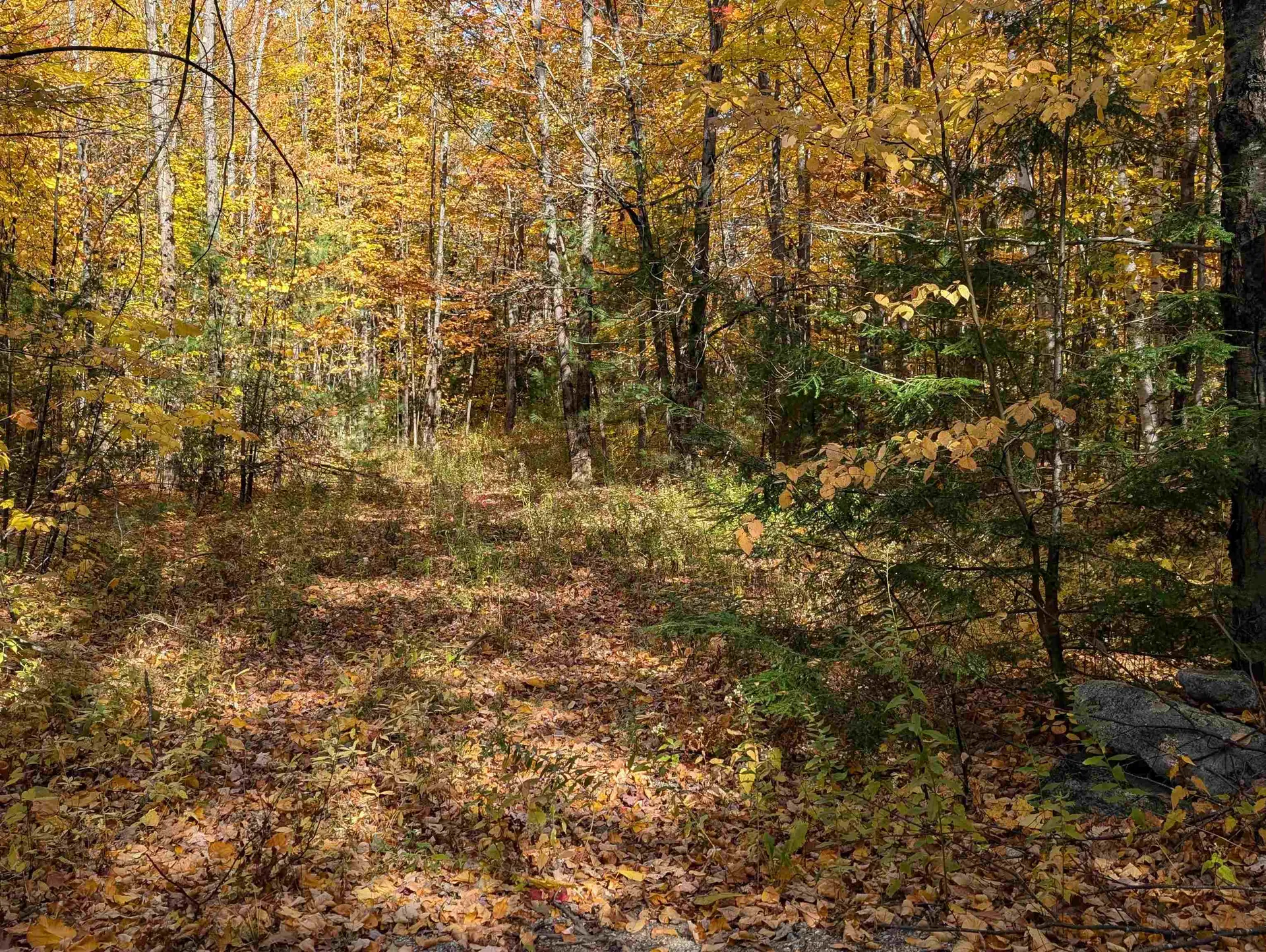 Lot 7-13 Mountain Road Francestown NH 03043