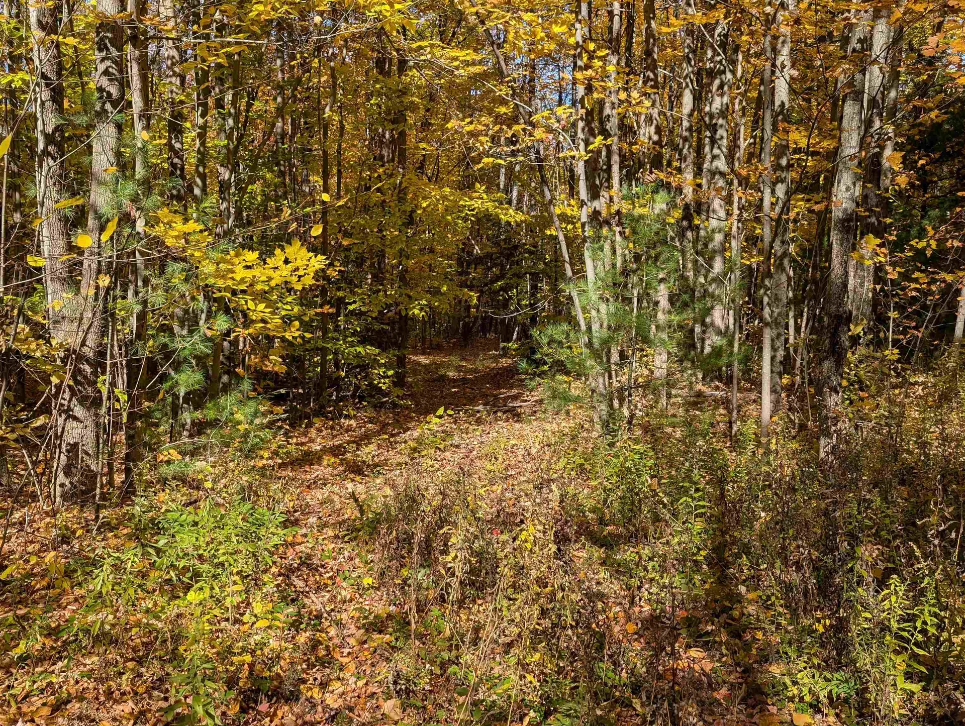 Lot 7-13 Mountain Road Francestown NH 03043