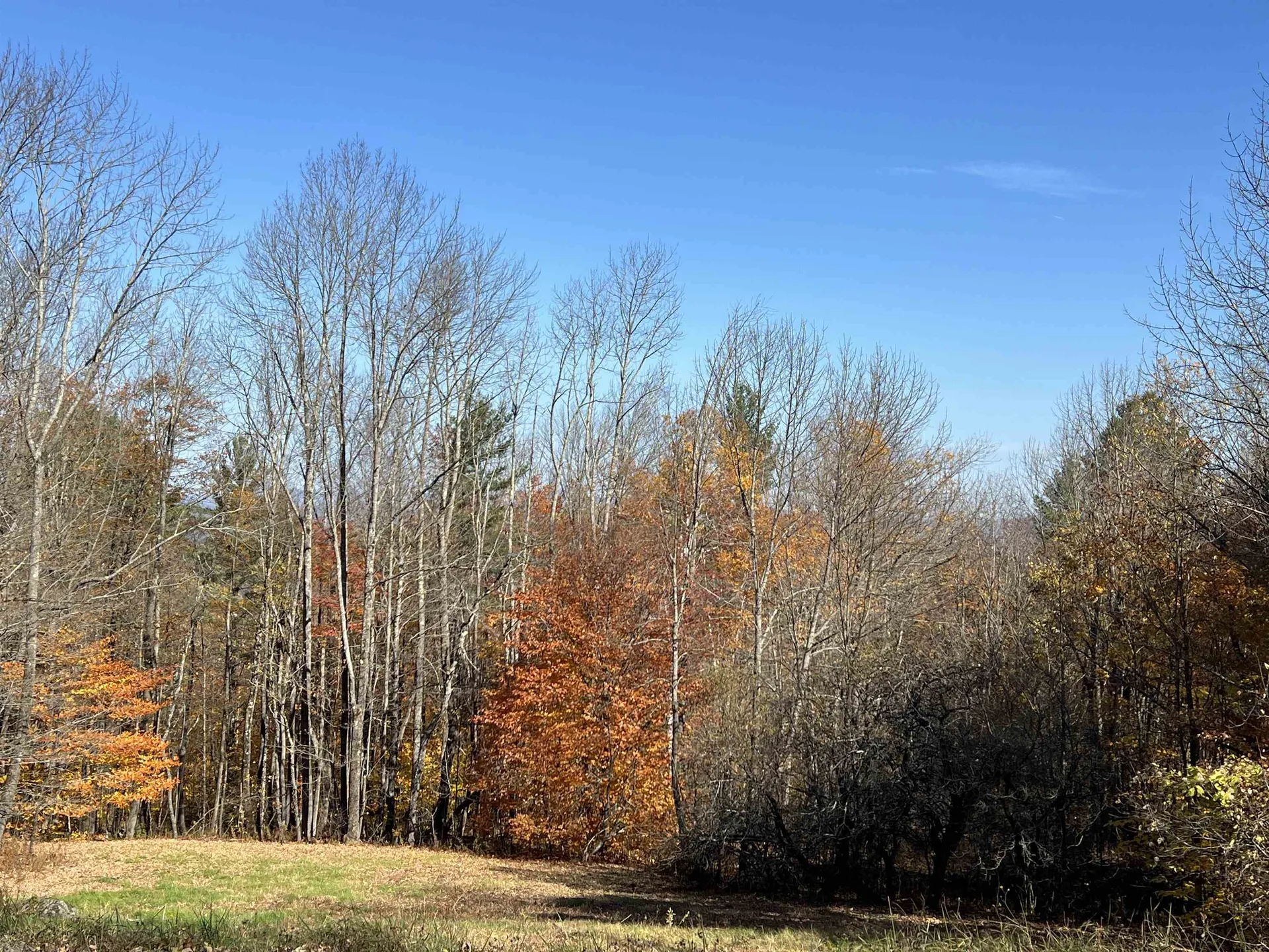 84 Lower Taylor Hill Road Winhall VT 05340