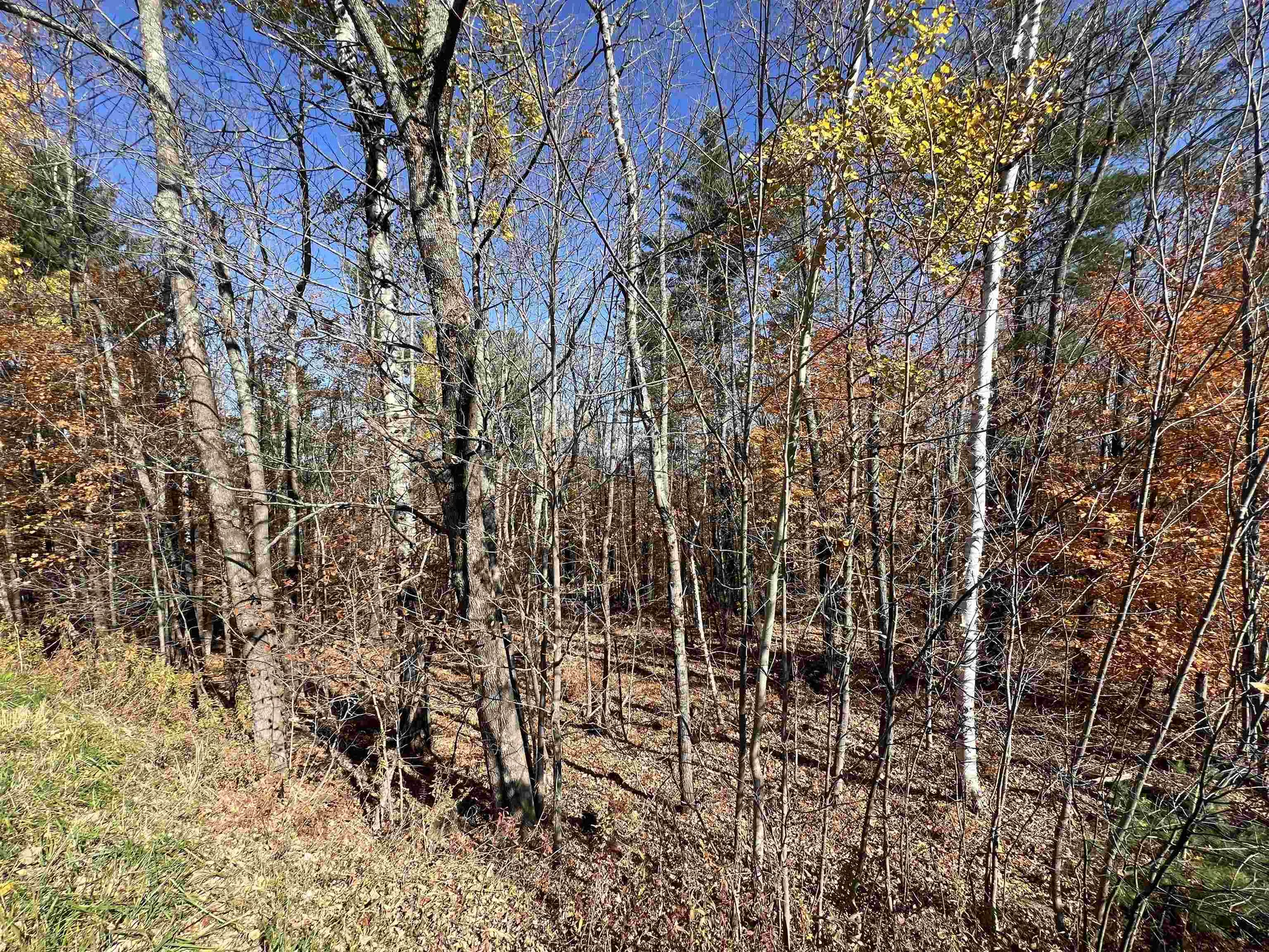 84 Lower Taylor Hill Road Winhall VT 05340