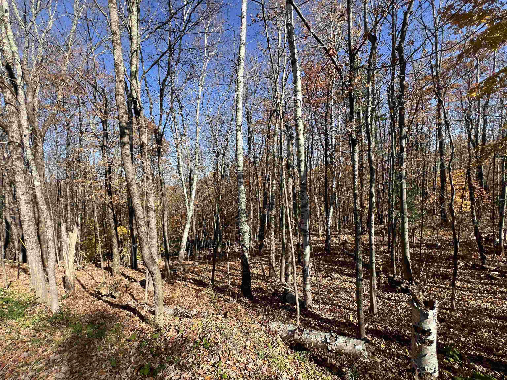 84 Lower Taylor Hill Road Winhall VT 05340