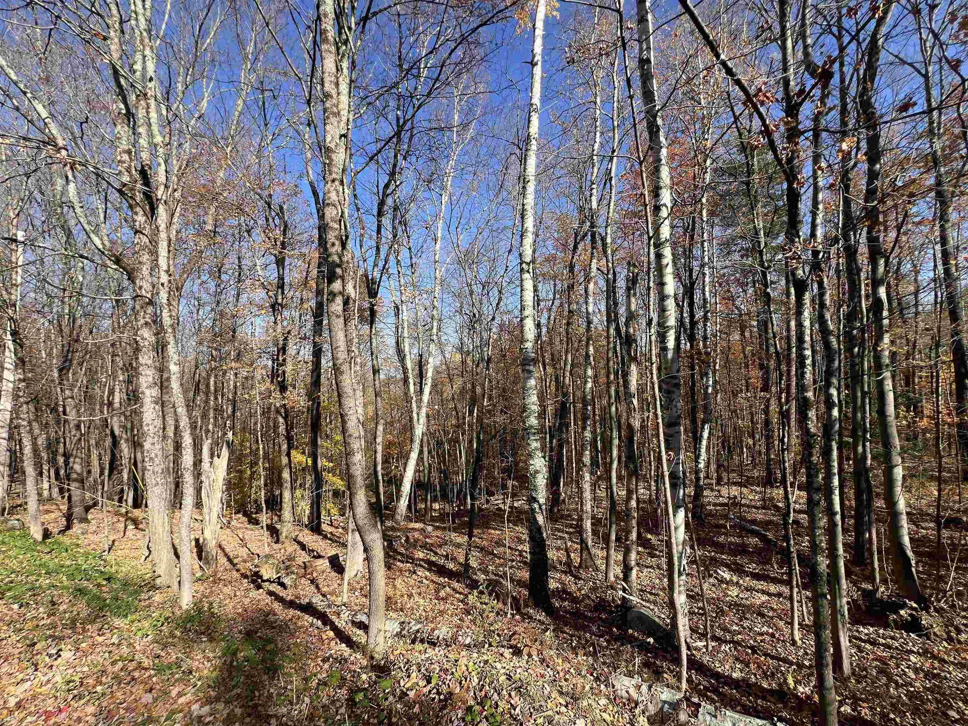 84 Lower Taylor Hill Road Winhall VT 05340