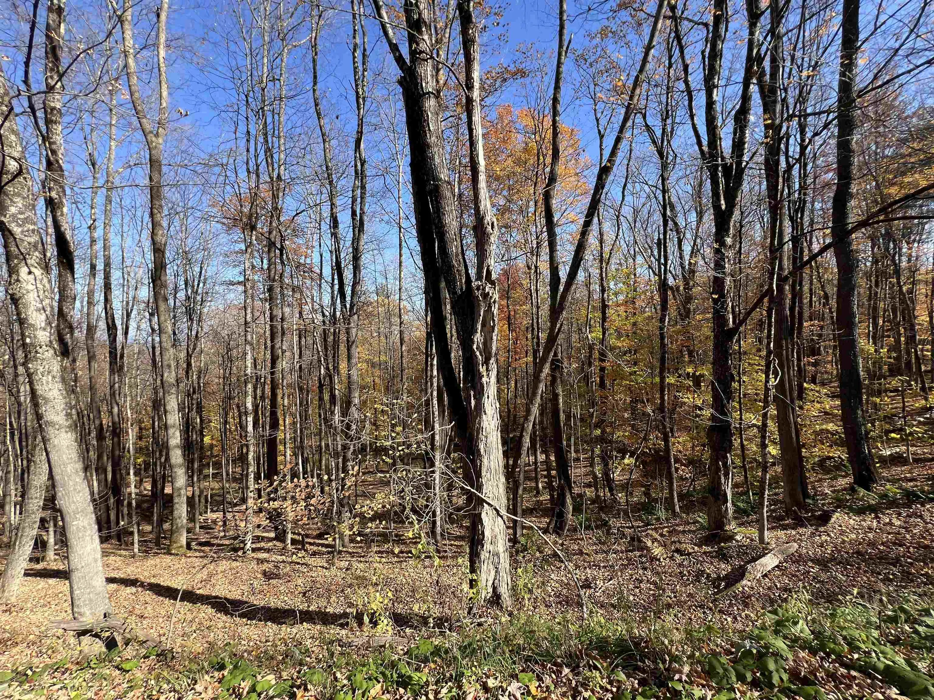 84 Lower Taylor Hill Road Winhall VT 05340